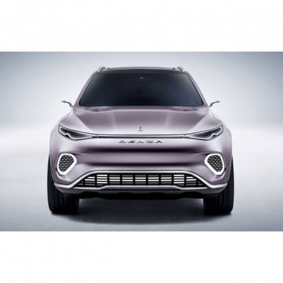 2019 DENZA Concept-X